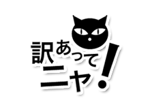 訳あってニャ！