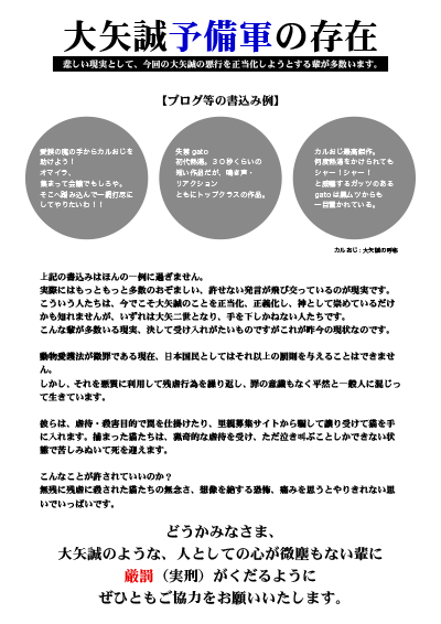 大矢誠予備軍の存在